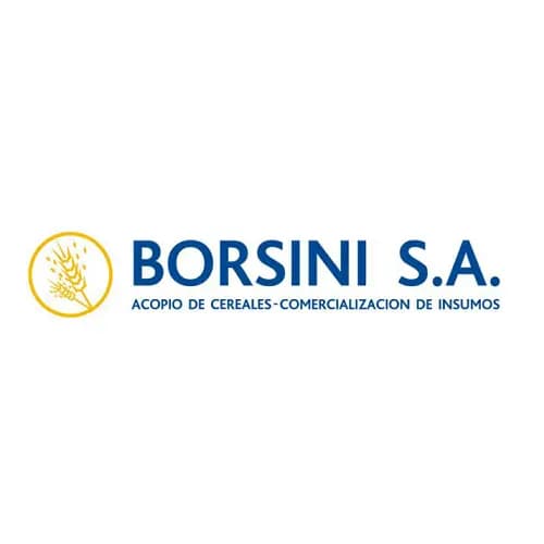 Logo Borsini S.A.